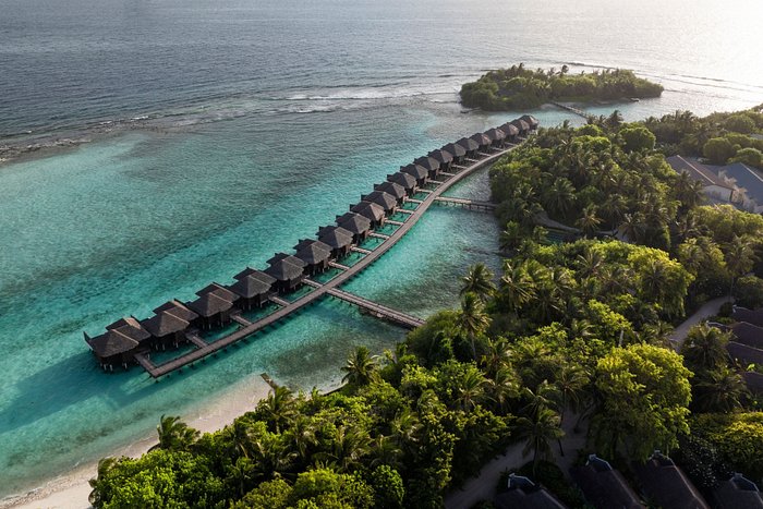 sheraton maldives resort spa maldivler 1