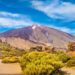 Teide Milli Parkı ücretli oluyor 11 Teide Milli Parkı