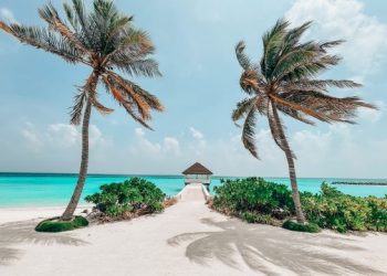 Maldivler dijital kimlik yasası taslağını kamuoyunun görüşüne sundu