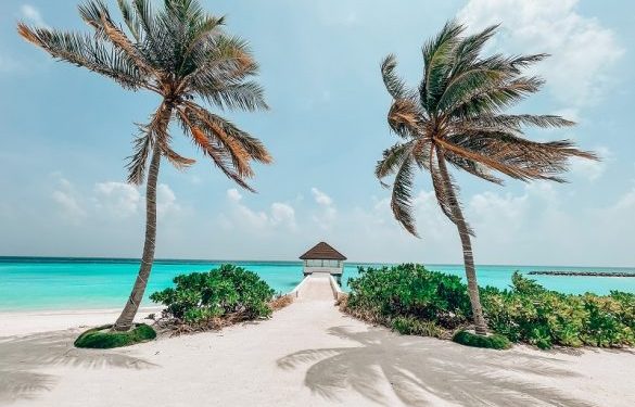 maldivler dijital kimlik yasasi