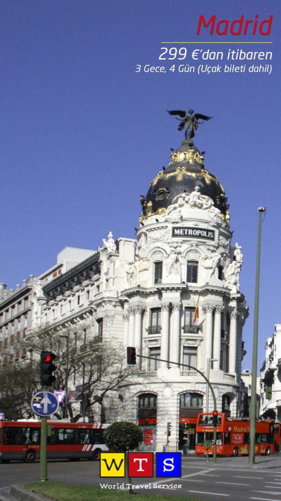 İspanyol kasabasına lavanta istilası! 2 madrid turu