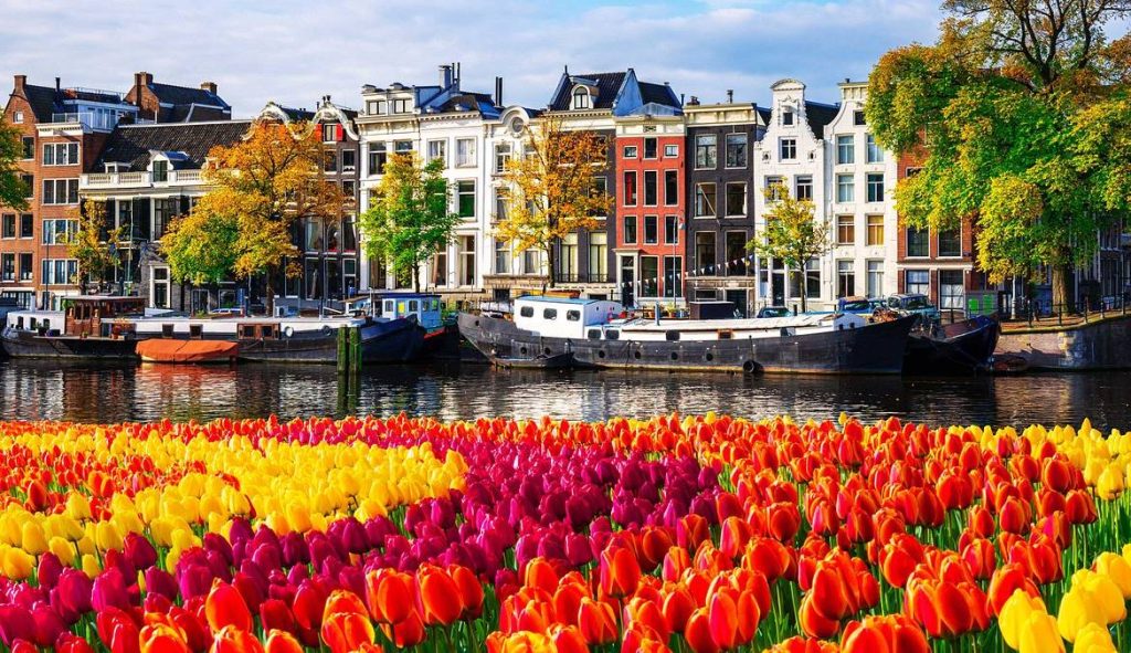 amsterdam aktiviteleri