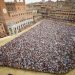 İtalya’nın En Ünlü At Yarışını Keşfedin: Palio di Siena