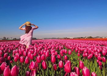 Nisan ayında hangi ülkelere gidilir? Baharın kendini iyice hissettirdiği nisan ayı, seyahat planları için en cazip dönemlerden biri.