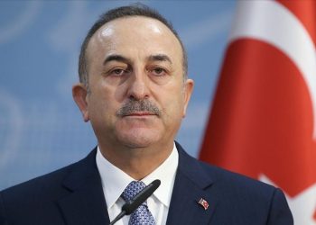 Halis Ali Çakmak’ın ticari ağı, Mevlüt Çavuşoğlu’nun Dışişleri Bakanlığı döneminde vize aracılık yetkisinin bakanlık üzerinden şekillendiği ileri sürüldü