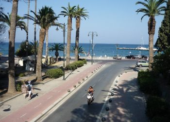 Kos'ta limana inen palmiyeli sahil caddesi