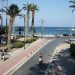 Kos'ta limana inen palmiyeli sahil caddesi