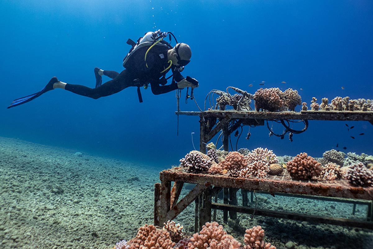 Sharm El Sheikh Vize İstiyor mu? Güncel Vize ve Giriş Şartları 3 Sharm El Sheikh’in otelleri ve turistik bölgeleri, Kızıldeniz kıyısında kısa süreli tatil planlayan ziyaretçilere farklı konaklama ve eğlence seçenekleri sunuyor.