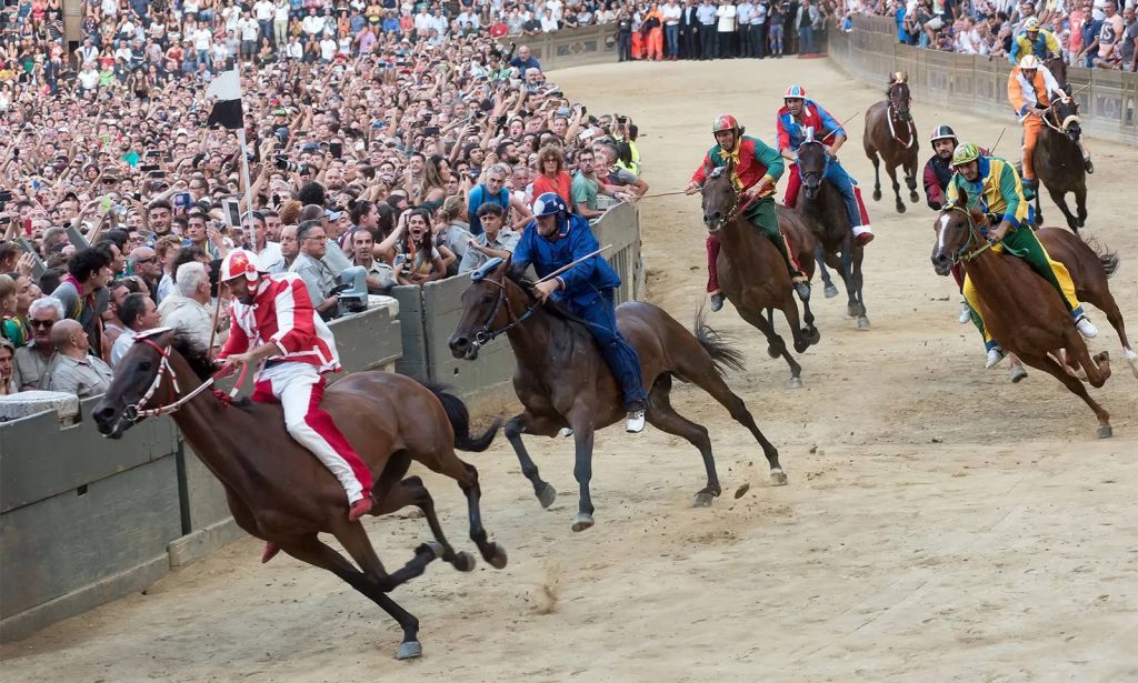 siena palio festivali